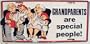 LP - 275 Grandparents are Special People License Plate - 316