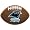 Carolina Panthers