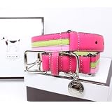 COACH Striped Multicolor Leather Dog Collar with Engraveable Charm 60407 Limited Edition - Lime/Pink, Medium (13.5"-16.5")