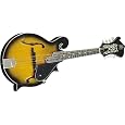 Rogue RM100F F-Style Mandolin