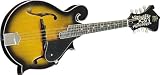 Rogue RM100F F-Style Mandolin