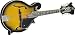 Rogue RM100F F-Style Mandolin
