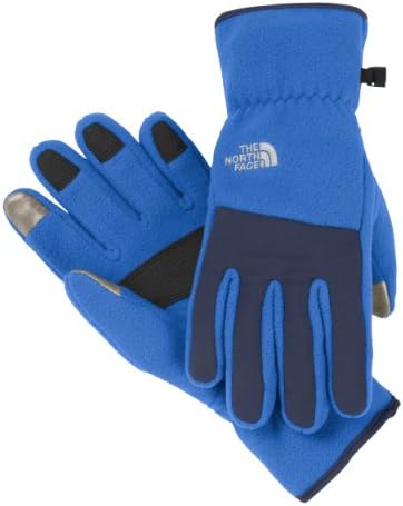 The North Face Mens Etip Denali Glove