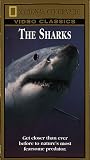 National Geographic s The Sharks