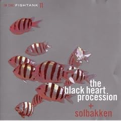 The Black Heart Procession + Solbakken