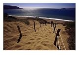 Steep Path Down to Baker Beach Photographic Poster Print by Jeff Greenberg, 16x12