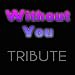 Without You (feat. Usher)