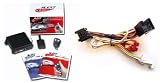 Bulldog RS-1200E/GM-12 Remote Starter & T-Harness Kit
