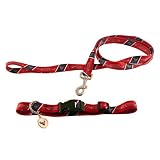 PET SET--MED -HOUSTON TEXANS - Medium