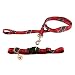 PET SET--MED -HOUSTON TEXANS - Medium
