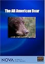 The All American Bear