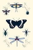 Art Poster, Insect Study #1 - 18.75 x 27.5