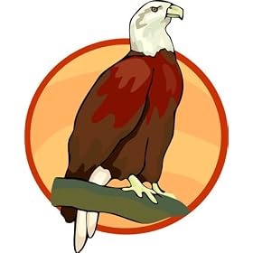 Eagle Clip Art & Stock Photo Image CD