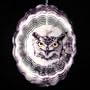 Horned Owl Tru-Image