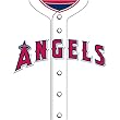 Los Angeles Angels MLB Book Cover