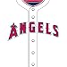 Los Angeles Angels MLB Book Cover