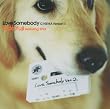 Love Somebody(CINEMA Version II)
