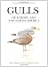 Gulls of Europe, Asia and North America