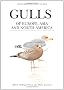Gulls of Europe, Asia and North America