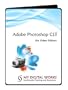 Adobe Photoshop CS3 for Video Editors