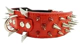 17"-20.5" Red Faux Croc Leather Spiked Dog Collar 2" Wide, 40 Large Spikes