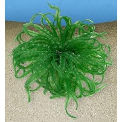 Nature's Image Artificial Corals: Blade Plant, Green by Nature's Image