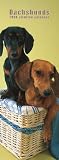 Dachshunds 2008 Slimline