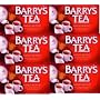 Barrys Gold Blend 80 Tea Bags Case of 6