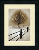 Solitude Framed Art Print by David Lorenz Winston,12.2 x 15.4 Framed