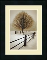 Solitude Framed Art Print by David Lorenz Winston,12.2 x 15.4 Framed