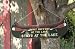 What Happens At the Lake Stays At the Lake Sign Plaque