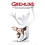 THE GREMLINS MOVIE MOGWAI WARNING 24X36 POSTER ST4704R Poster Print, 24x36