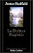 La Dixieme Revelation De La Prophetie De (Paperback)