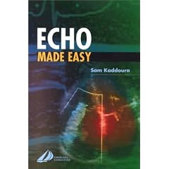 Echo Made Easy