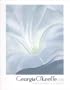 Georgia O'Keeffe Calendar (2003)