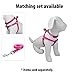 Pawtitas 6 FT Dog Leash - Comfortable Handle, Highly Reflective Threads, Heavy Duty Training Leash (Medium 6 FT)
