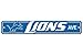 Fremont Die NFL Detroit Lions Team Sign, 4