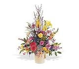 Teleflora's Spring Hope Arrangement