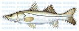 SNOOK -Fish Decal- window sticker truck fishing lure
