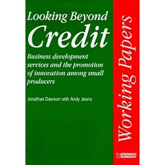 Looking Beyond Credit: Business Development Services and the Promotion of Innovation Among Small Producers (ITDG Working Papers)