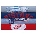 Detroit Lions/Pistons/Tigers/Red Wings 20" x 30" Poster Print