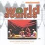 South Indian Classical Flute