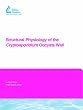Structural Physiology of the Cryptosporidium Oocyst Wall (Awwa Research Foundation Reports)