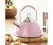 Stainless Steel and Pink Enamel Kettle