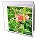 Edmond Hogge Jr Insects - Praying Mantis - Greeting Cards-6 Greeting Cards with envelopes