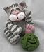 Gray Tabby 