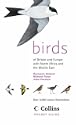 Birds of