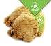 Perfect Petzzz Special Occasion Bandana Happy Birthday - Green