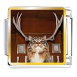  : Reindeer Cat Photo Italian Charm Bracelet