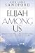 Image: Shopper's Delight: Prophecy in The Books Store ~ Elijah Among Us: Understanding And Responding To God's Prophets Today